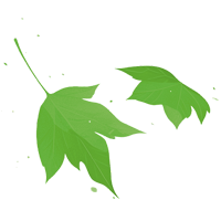 brossage gazon synthétique